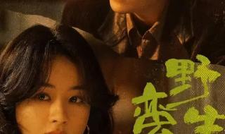 风吹半夏在哪个电视台播放