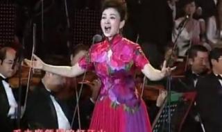 山丹丹开花红艳艳dj