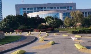 四川农业大学分数线