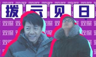双探是什么真实事件