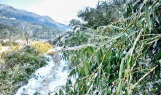 广州下雪了_当地发文辟谣
