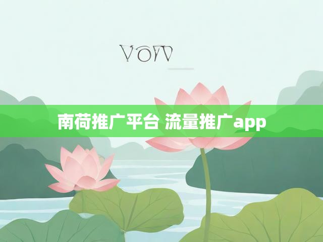 南荷推广平台 流量推广app