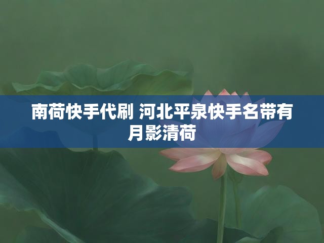 南荷快手代刷 河北平泉快手名带有月影清荷