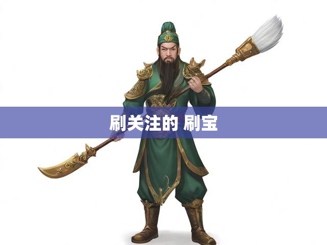 刷关注的 刷宝