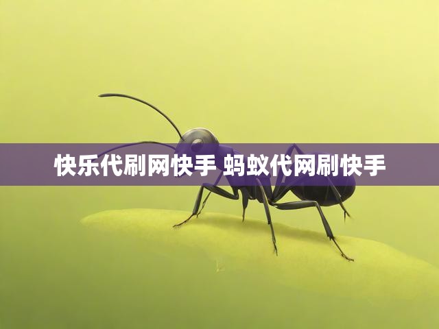 快乐代刷网快手 蚂蚁代网刷快手