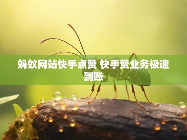 蚂蚁网站快手点赞 快手赞业务极速到账