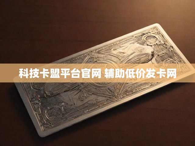 科技卡盟平台官网 辅助低价发卡网